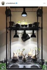 �u��������� ���낢����ǁv�ϗt�A���Ɉ͂܂�Ă��낮�䂪�ƁE�ؑq�R�K(�ʐ^�̓C���X�^�O���� @y.tsubokura ���) 