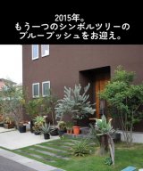 Vo[u[̗tuu[ubVvԓ!āc(ʐ^@botanical.0715) 