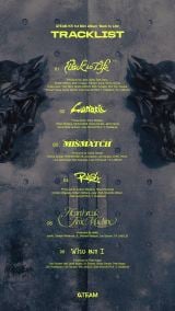 &TEAM�A�؍��f�r���[����^�Ȍ��J ���E�I�q�b�g���[�J�[�炪�Q�� 