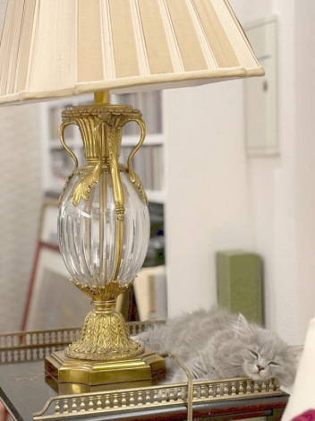 �������T���Љ���A�V���ȉƑ��E���L�~�����B�i�������T�I�t�B�V�����u���O���j 