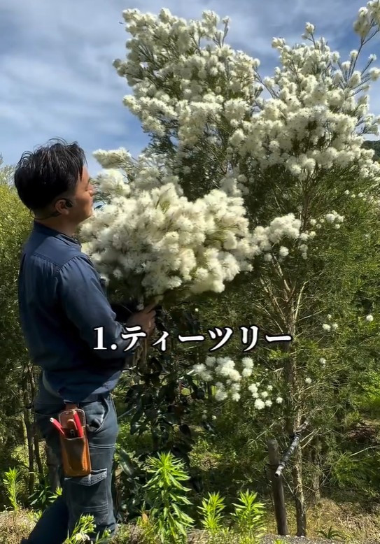 uAȂᑹvȒ1:eB[c[(ʐ^@makoto6017) 