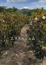 uAȂᑹvȒ2:gWF(ʐ^@makoto6017) 