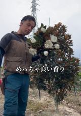 uAȂᑹvȒ2:gWF(ʐ^@makoto6017) 