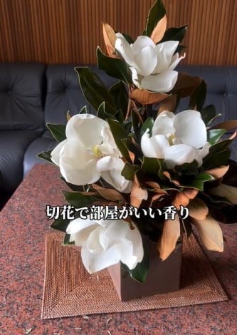 �u�A���Ȃ��ᑹ�v�Ȓ�؂Q�F���g���W�F���i�ʐ^��@makoto6017�j 