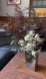 uAȂᑹvȒ3:Jbp[O[(ʐ^@makoto6017) 