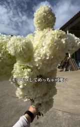 uAȂᑹvȒ5:Xe[(ʐ^@makoto6017) 