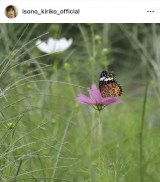 ���M���q�u����c��ڕւ�6�v�u�c�}�O���q���E�����v(�ʐ^�̓C���X�^�O���� @isono_kiriko ���) 