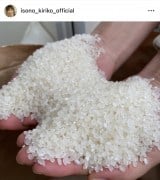 (�ʐ^�̓C���X�^�O���� @isono_kiriko ���) 