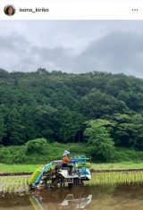 ���M���q�u�����g���Ă��Ȃ��c��ڂ��؂�āA�_����g�킸�ɂ��Ă�����܂��v (�ʐ^�̓C���X�^�O���� @isono_kiriko ���) 