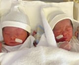 �o����̑o�q�����̗l�q 