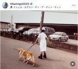 �Γc�Ђ���u��������� ������ȁv(�ʐ^�̓C���X�^�O���� @hikaringo0525 ���) 