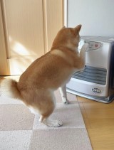 �g���������c�h�g�[�ۂ����ƁA�}�ȗ₦�Łg�쐶�̐S�h�������Č��Ɂu�Ƃ��Ƃ������Łv�u�}�X�^�[�����Ⴂ�����Ȏ���v 