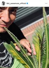 �򑺈�� �u�m�l���璸�������炵���\�e�c�v��2024�N8���̓��e(�ʐ^�̓C���X�^�O���� @ikki_sawamura_official ���) 