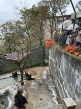 11��7�������́w�^�����X�e�[�V�����x(C)�e���r���� 