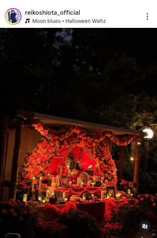 ���c��q�u�n���E�B���f�B�Y�j�[�ցv�i�ʐ^�̓C���X�^�O���� ��reikoshiota_official ���j 