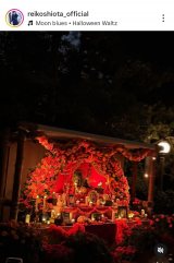 ���c��q�u�n���E�B���f�B�Y�j�[�ցv�i�ʐ^�̓C���X�^�O���� ��reikoshiota_official ���j 