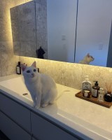 ���������L�ɐ�������������������/runa_interior design����(@m.y_house_glam)�� 