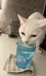 �������ނ��������ǂ����C�i�����邵����������/runa_interior design����(@m.y_house_glam)�� 