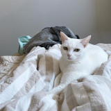 �C�i���邽�����܂��̂����������� 