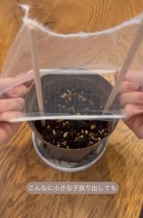 �u����������������o�Ă���y�ɐA���ւ��A�����������ɊO�ɏo���ꍇ�͔r���l�b�g�ŕی삵�Ē��΍���v�imico�j�i�ʐ^��@kurashino.ne�j 