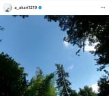 �����J�����g�I�t�̓��h�V���b�g (�ʐ^�̓C���X�^�O���� @a_akari1219 ���) 