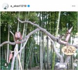 ���΂�����u�I�t�̈���v (�ʐ^�̓C���X�^�O���� @a_akari1219 ���) 