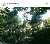 ���΂�����u�I�t�̈���v (�ʐ^�̓C���X�^�O���� @a_akari1219 ���) 