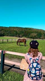 �a���c����̌���X��� 