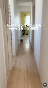 �u�V�����v�[����J�b�g�܂Łv(�摜��:������񂳂� @cie__3) 