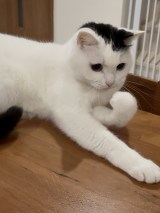 �g���񂭂񂭂�h2�Βj�����L�́g�����h�̖��͂ɋC���Â����u�� �L�̕\��u����A�ł����!�v 