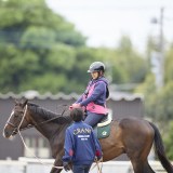 �w�����ƃE�}���D���ɂȂ��n�̌����܁x�i�C���[�W�j