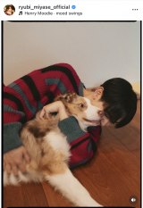 �{������u�ŋ߂̖l�B�v(�ʐ^�̓C���X�^�O����@ryubi_miyase_official ���) 