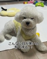 ���炩���ɂ݂��Ă���|�e�g����(�U�߂���B�e) 