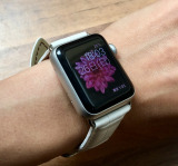 �u�����͂ǂ�ȋC��?�v����V�[���ɍ��킹�đI�т���Apple Watch�o���h5�I 