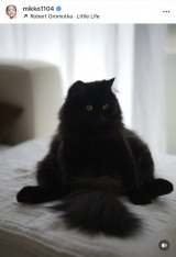 ��얢��q�u�������������z��������Ƃ̂��Еt���������I�Ձv(�ʐ^�̓C���X�^�O���� @mikko1104 ���) 