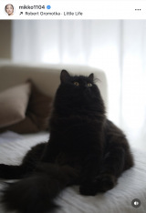 ��얢��q�u�������������z��������Ƃ̂��Еt���������I�Ձv(�ʐ^�̓C���X�^�O���� @mikko1104 ���) 