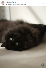 ��얢��q�u�������������z��������Ƃ̂��Еt���������I�Ձv(�ʐ^�̓C���X�^�O���� @mikko1104 ���) 