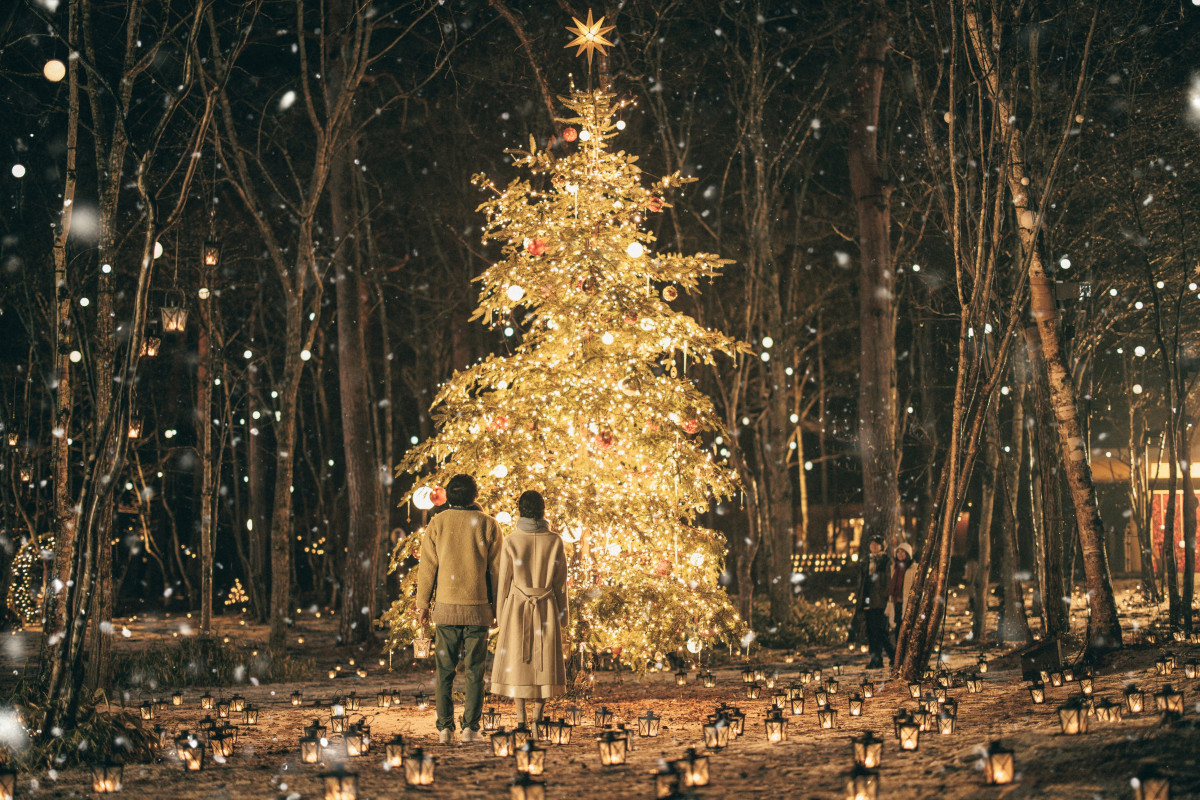 画像・写真 | 軽井沢高原教会で人気イベント『星降る森のクリスマス