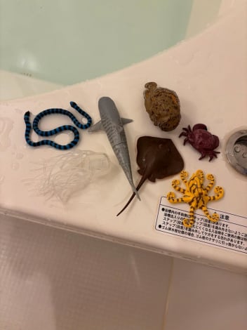 "댯"͐ق̂yY^ږGi@peatyemyj 