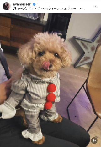 �u���N��LABUBU�v��x���肪���J�����n���E�B���V���b�g�i�ʐ^�̓C���X�^�O���� @iwahoriseri ���j 