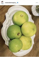 �n粏��u���h�Ȃ������������������v(�ʐ^�̓C���X�^�O���� @watanabenagisa_ ���) 