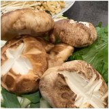 �x�����݁u���������H�ނ��g�킹�Ă����������A���������`���[��!�v(�ʐ^�̓u���O���) 