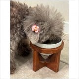 �x�����݁u�݂������͂�����H���܂����v(�ʐ^�̓u���O���) 