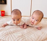 �R���R�����Ă�����炵���o�q�����̗l�q 