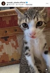 ���c�����u������Ƃ����O�Ƃ�����Ƃ����ŋ߂̂킽�����v(�ʐ^�̓C���X�^�O���� @masaki_okada.official ���) 