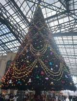 �����f�B�Y�j�[�����h ���[���h�o�U�[���̃N���X�}�X�c���[ (C)ORICON NewS inc. 