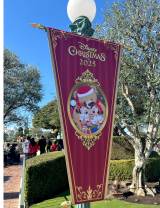 �����f�B�Y�j�[�����h�E�N���X�}�X�f�R���[�V���� (C)ORICON NewS inc. 