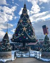 �����f�B�Y�j�[�V�[ �A�����J���E�H�[�^�[�t�����g�̃N���X�}�X�c���[ (C)ORICON NewS inc. 