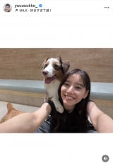 VؗDquKɂ͂܂v(ʐ^̓CX^O @yuuuuukko_ ) 