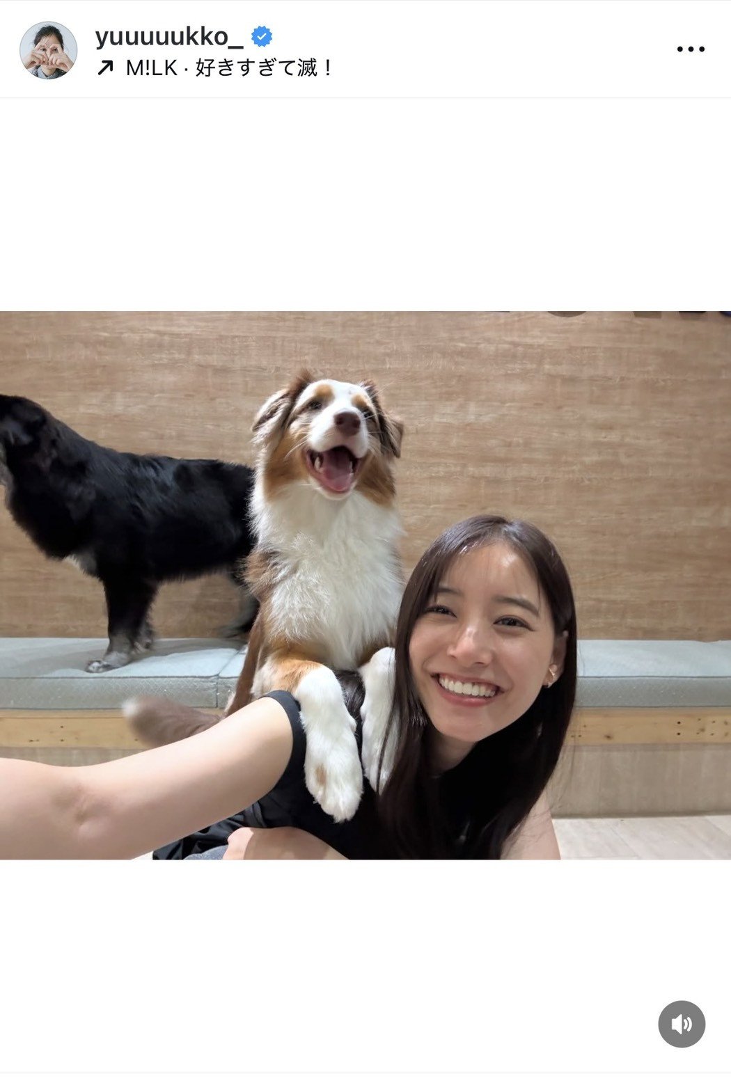 VؗDquKɂ͂܂v(ʐ^̓CX^O @yuuuuukko_ ) 